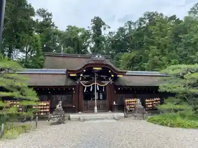 梅宮大社の本殿・本堂