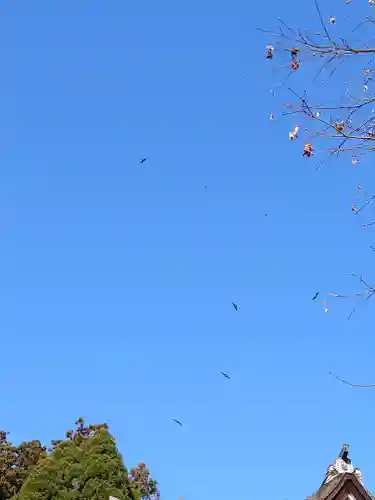 宝厳寺(滋賀県)