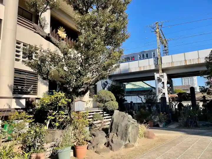 妙蓮寺(東京都)