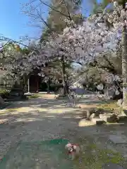 伊勢の国 四天王寺の建物その他