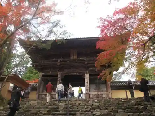 神護寺の山門