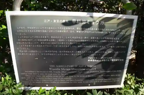 穴八幡宮の歴史