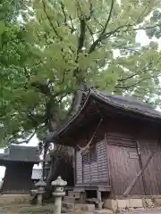 関川社の本殿