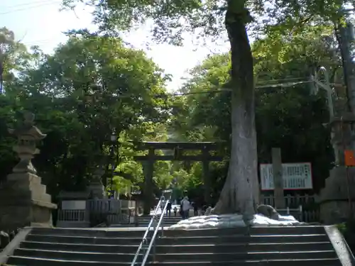 枚岡神社の鳥居