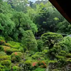 臨済寺(静岡県)