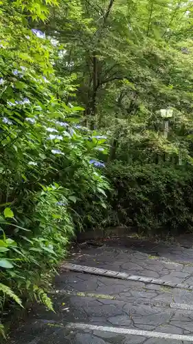 長岡天満宮(京都府)