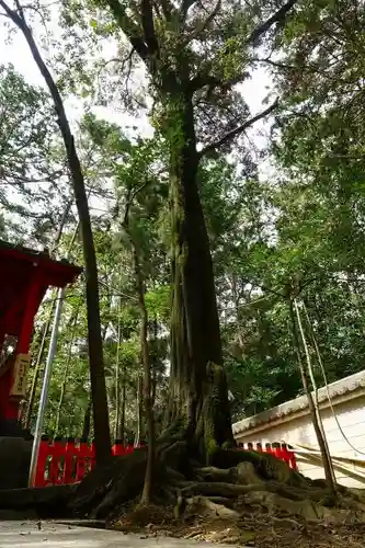 長岡天満宮の自然