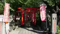 於菊稲荷神社の鳥居