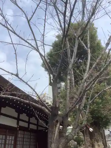 三輪神社の自然