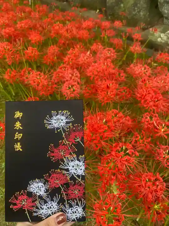 横浜 西方寺(神奈川県)