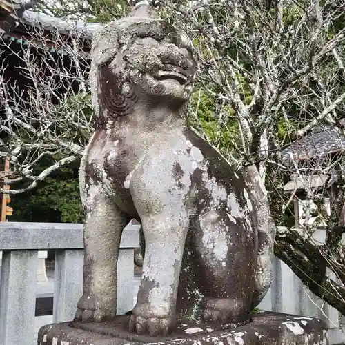 岡崎天満宮の狛犬