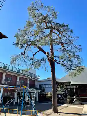覺願寺(東京都)
