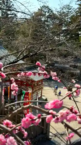 大縣神社の{uncategorized: "未分類", other: "その他", undefined: "問題あり", building: "その他建物", grave: "お墓", sacred_gate: "鳥居", guardian: "狛犬", statue: "像", buddha: "仏像", history: "歴史", nature: "自然", garden: "庭園", animal: "動物", pagoda: "塔", temizu: "手水舎", mountain_gate: "山門・神門", sanctuary: "本殿・本堂", subordinate: "末社・摂社", art: "芸術", scenery: "景色", jizo: "地蔵", ema: "絵馬", goshuin: "御朱印", omikuji: "おみくじ", items: "授与品その他", amulet: "お守り", goshuincho: "御朱印帳", eats: "食事", festival: "お祭り", votive_dance: "神楽", shichigosan: "七五三参", wedding: "結婚式", experience: "体験その他", initially: "初詣", around: "周辺", anti_infection: "感染症対策"}