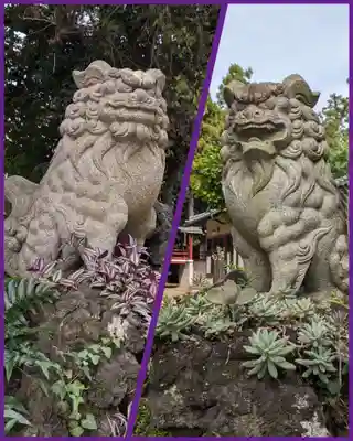 柏諏訪神社(千葉県)