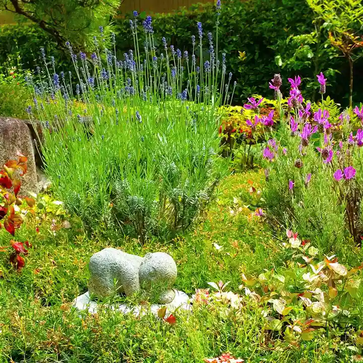 寿量山 速成寺(奈良県)