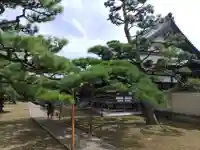 大恩寺(和歌山県)