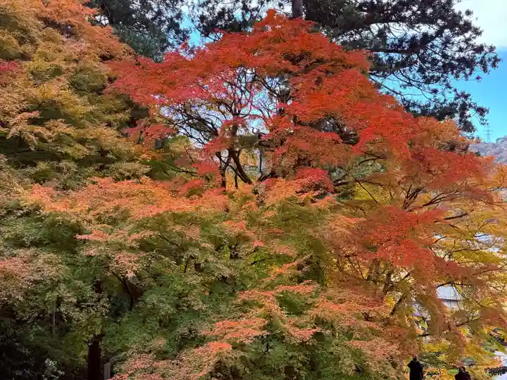 萬徳寺(福井県)