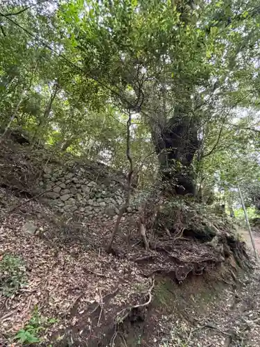 大龍寺(兵庫県)