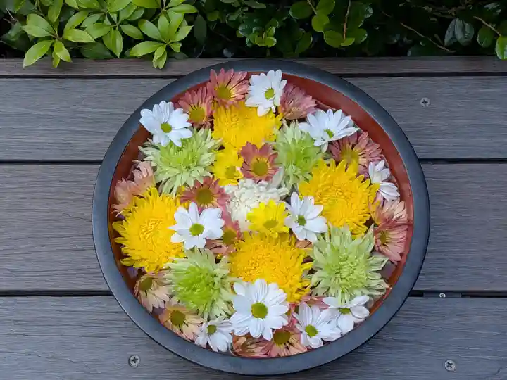 増上寺塔頭 三縁山 宝珠院(東京都)