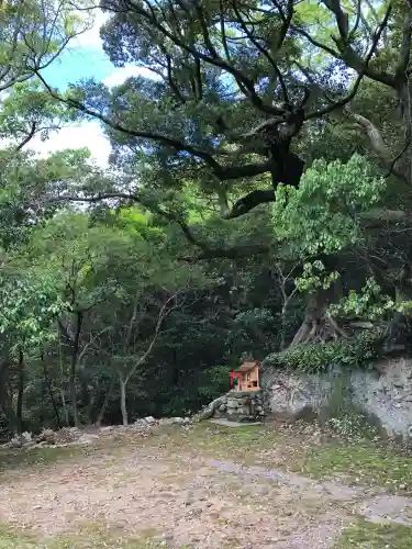 住吉神社の{uncategorized: "未分類", other: "その他", undefined: "問題あり", building: "その他建物", grave: "お墓", sacred_gate: "鳥居", guardian: "狛犬", statue: "像", buddha: "仏像", history: "歴史", nature: "自然", garden: "庭園", animal: "動物", pagoda: "塔", temizu: "手水舎", mountain_gate: "山門・神門", sanctuary: "本殿・本堂", subordinate: "末社・摂社", art: "芸術", scenery: "景色", jizo: "地蔵", ema: "絵馬", goshuin: "御朱印", omikuji: "おみくじ", items: "授与品その他", amulet: "お守り", goshuincho: "御朱印帳", eats: "食事", festival: "お祭り", votive_dance: "神楽", shichigosan: "七五三参", wedding: "結婚式", experience: "体験その他", initially: "初詣", around: "周辺", anti_infection: "感染症対策"}