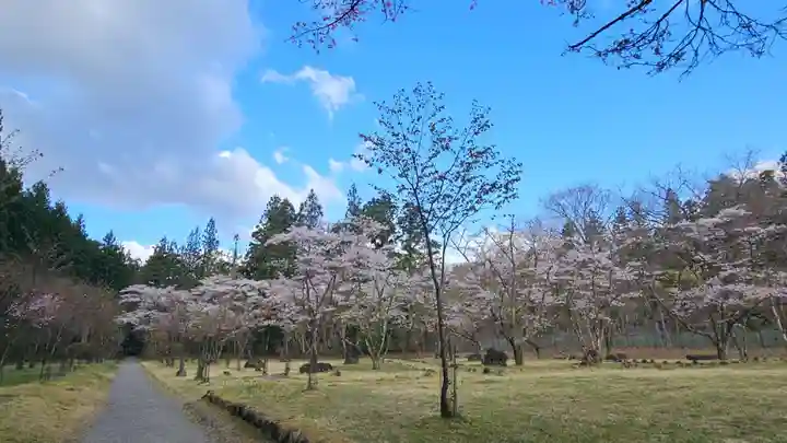 慈雲寺(並び地蔵 化け地蔵)(栃木県)