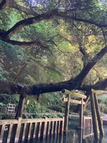 鹿島神宮(茨城県)