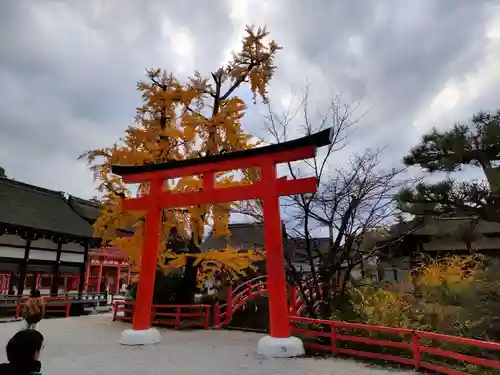 賀茂御祖神社（下鴨神社）(京都府)