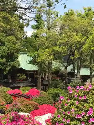 根津神社(東京都)