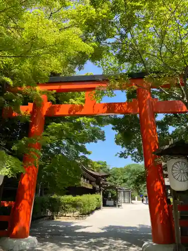 賀茂御祖神社（下鴨神社）の鳥居