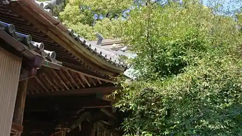 牟呂八幡宮の本殿・本堂