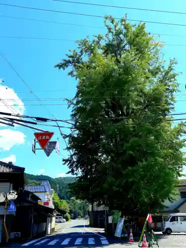 六所神社の自然