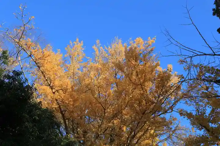 熊野福藏神社の自然