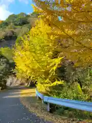 北辰妙見神社(和歌山県)