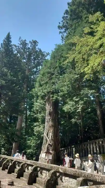 日光東照宮奥宮拝殿(栃木県)