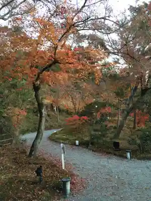 高台寺（高台寿聖禅寺・高臺寺）(京都府)