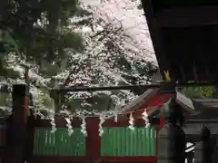 大國魂神社の建物その他