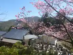 圓光寺【円光寺】の建物その他