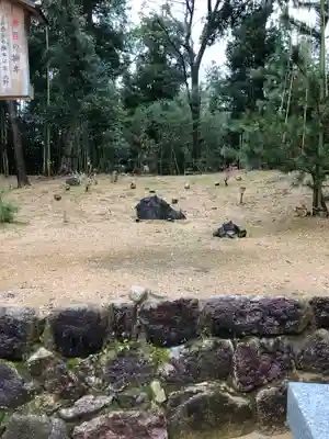 天満神社(福井県)