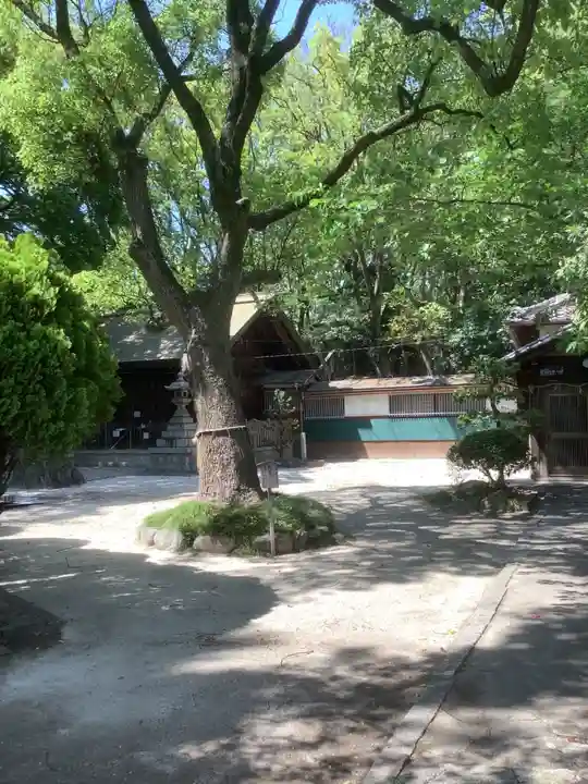 神明社(桜神明社)の自然