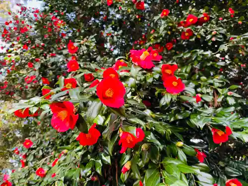 守りの神　藤基神社(新潟県)