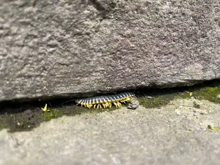 霧島神宮(鹿児島県)