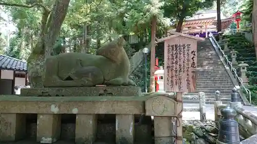 枚岡神社の狛犬