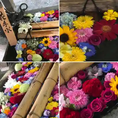 札幌護國神社の手水舎