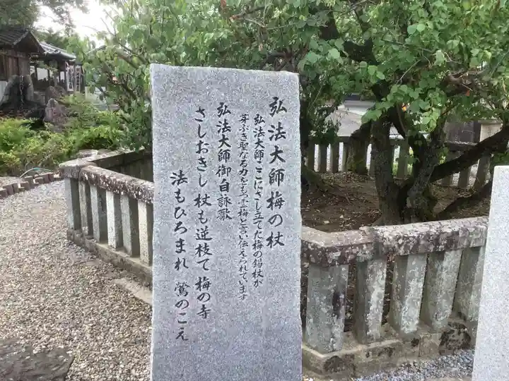 乙津寺 (鏡島弘法)のその他建物