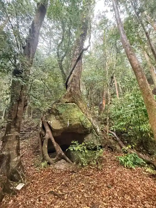 滝尻王子宮十郷神社の{uncategorized: "未分類", other: "その他", undefined: "問題あり", building: "その他建物", grave: "お墓", sacred_gate: "鳥居", guardian: "狛犬", statue: "像", buddha: "仏像", history: "歴史", nature: "自然", garden: "庭園", animal: "動物", pagoda: "塔", temizu: "手水舎", mountain_gate: "山門・神門", sanctuary: "本殿・本堂", subordinate: "末社・摂社", art: "芸術", scenery: "景色", jizo: "地蔵", ema: "絵馬", goshuin: "御朱印", omikuji: "おみくじ", items: "授与品その他", amulet: "お守り", goshuincho: "御朱印帳", eats: "食事", festival: "お祭り", votive_dance: "神楽", shichigosan: "七五三参", wedding: "結婚式", experience: "体験その他", initially: "初詣", around: "周辺", anti_infection: "感染症対策"}