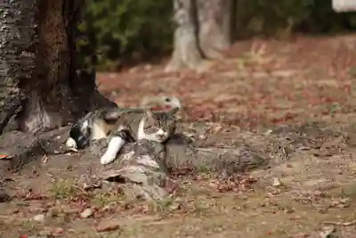 玉野御嶽神社(愛知県)