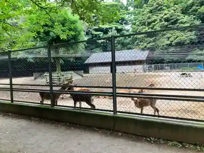 鹿島神宮(茨城県)