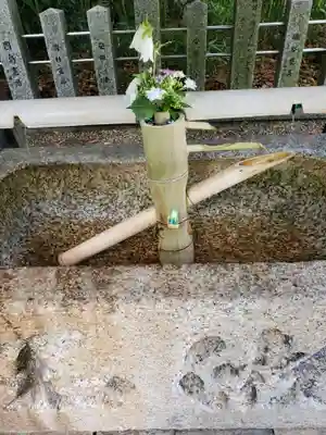 富部神社の手水舎