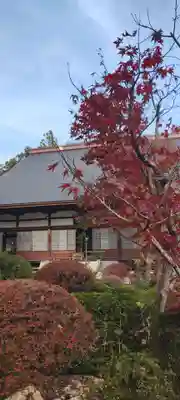 龍潭寺(静岡県)