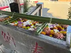 草加神社(埼玉県)